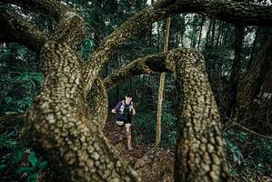 BIB: 
                            <button type="button" onclick="openModal(25702991)" class="btn btn-primary btn-sm float-right btn-popup" data-toggle="modal" data-target=".modal-high-quality">
                        <i class="fas fa-shopping-cart"></i> Add to Cart
                    </button>
                                            <button type="button" onclick="isThisMe(25702991, true)" class="btn btn-success btn-sm float-right btn-popup btn-isme hidden" data-toggle="tooltip" data-placement="bottom" title="นี่คือรูปของคุณใช่ไหม คลิกที่นี่เพื่อเอาเข้าอัลบั้ม">
                        <i class="fas fa-plus"></i> Add to album
                    </button>
                    <button type="button" onclick="isThisMe(25702991, false)" class="btn btn-warning btn-sm float-right btn-popup btn-isnotme hidden">
                        <i class="fas fa-ban"></i> Remove from album
                    </button>